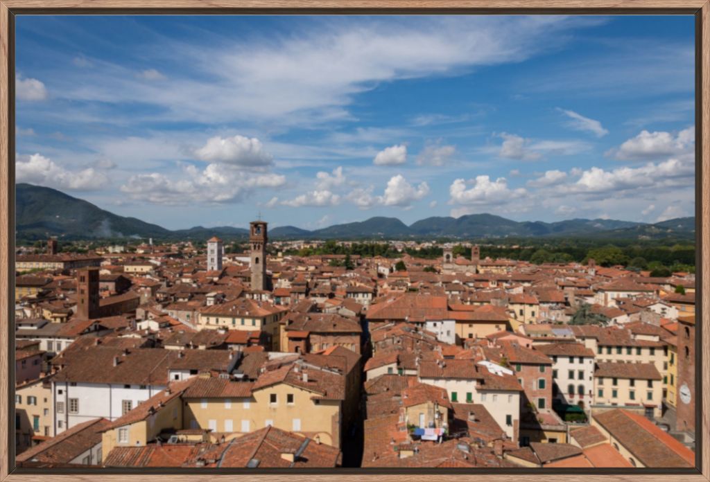 Rooftops of Lucca, Italy - Framed Photograph by Leah Ramuglia