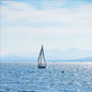 Sailboat on Lake Champlain - Photograph Printed on Metal