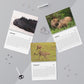 Wildlife Photography Calendar by Leah Ramuglia