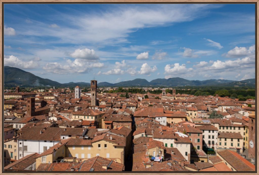 Rooftops of Lucca, Italy - Framed Photograph by Leah Ramuglia
