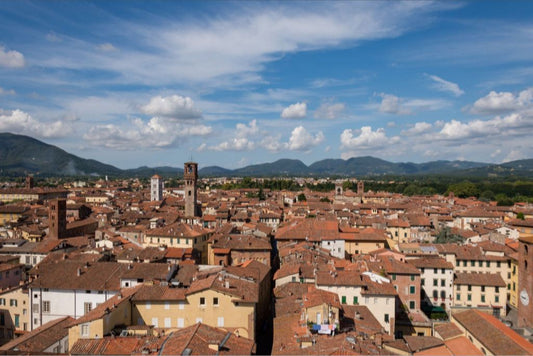 Rooftops of Lucca, Italy photograph by Leah Ramuglia