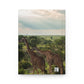 Kenya's Giraffes - 150 Page Journal/Notebook